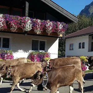 Apartment Ferienwohnung Schanzenblick, Oberstdorf